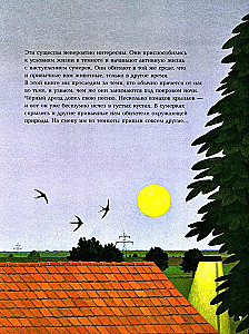 Nakts dzīvnieki