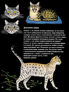 Nakts dzīvnieki