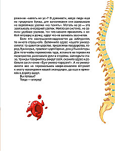 Сказочная анатомия