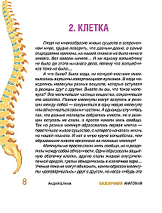 Сказочная анатомия