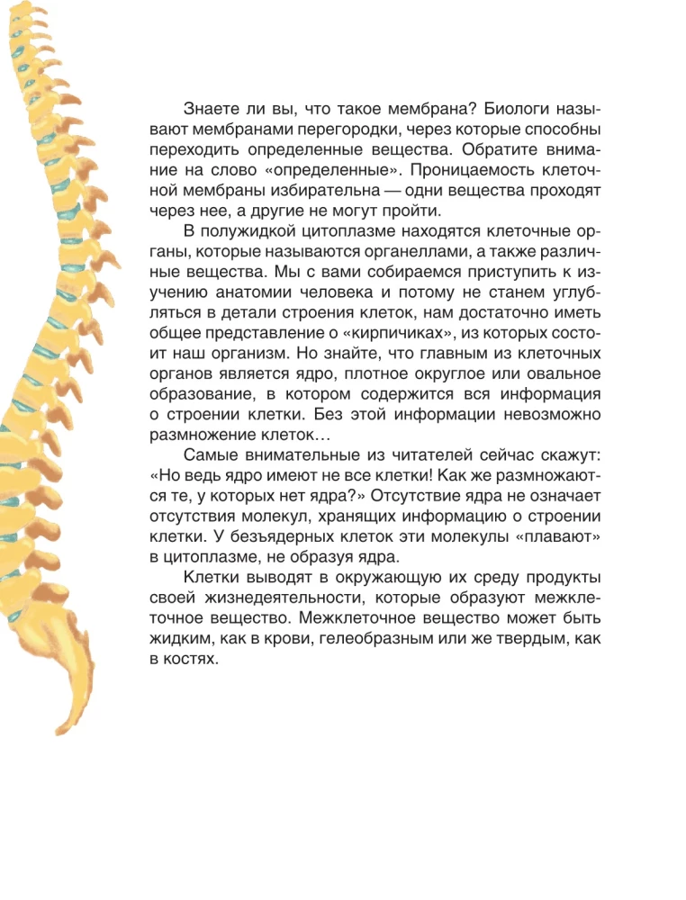 Сказочная анатомия
