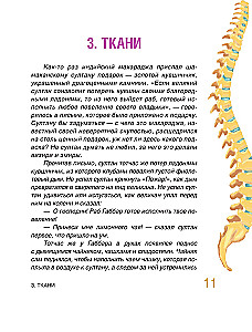 Сказочная анатомия