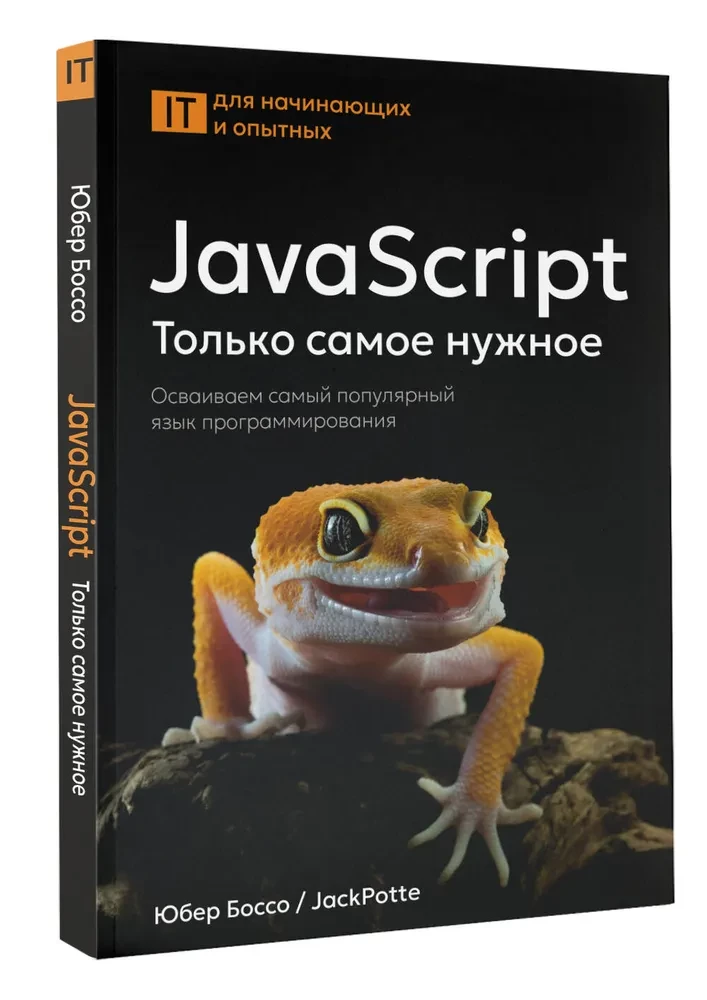 JavaScript. Tik viss nepieciešamais