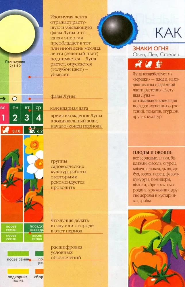 Mēness sēšanas kalendārs 2026. gadam vispārīgākajās un ērtākajās krāsainajās tabulās