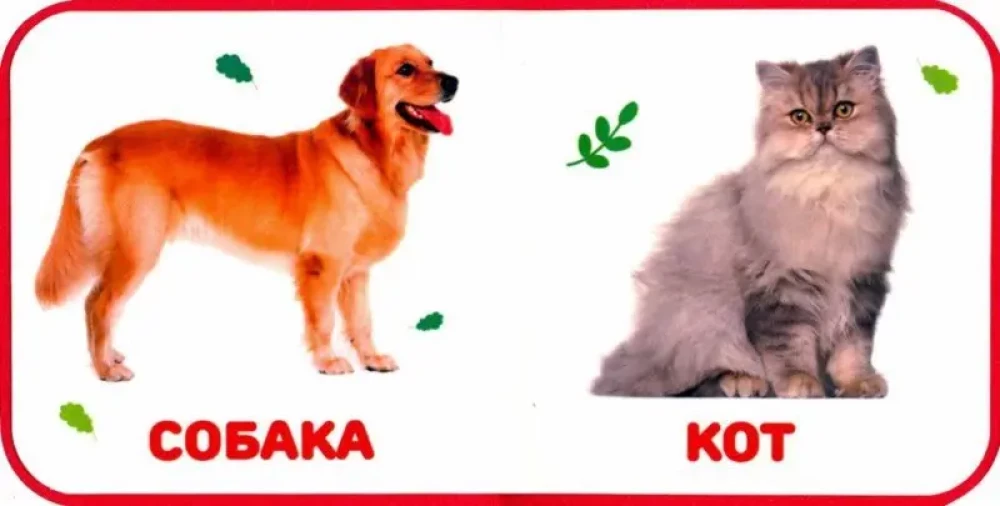 Домашние животные