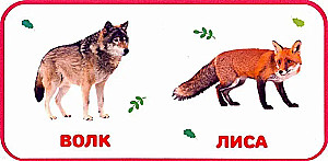 Savvaļas dzīvnieki