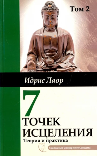 Семь точек исцеления. Том 2. Ускоренные  протоколы и схемы мышления