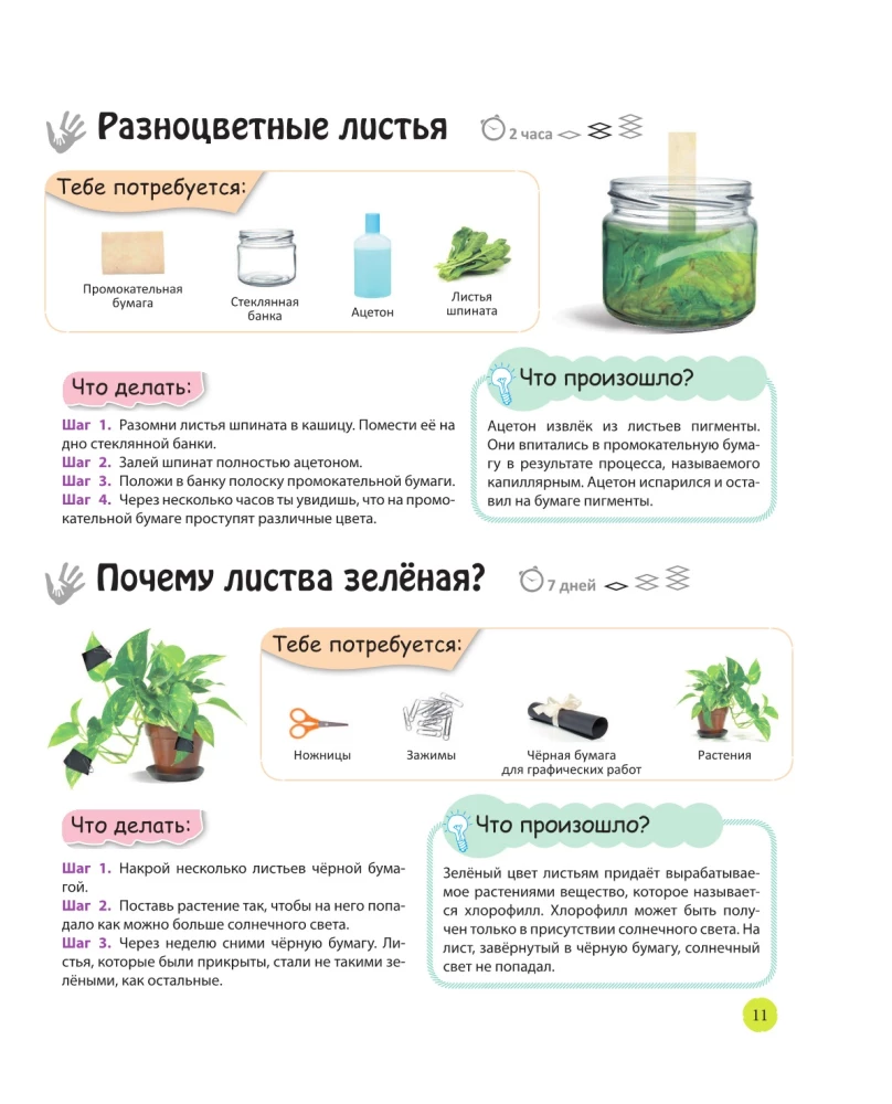 Izpētām eksperimentus: brīnumi ar savām rokām!