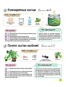 Izpētām eksperimentus: brīnumi ar savām rokām!