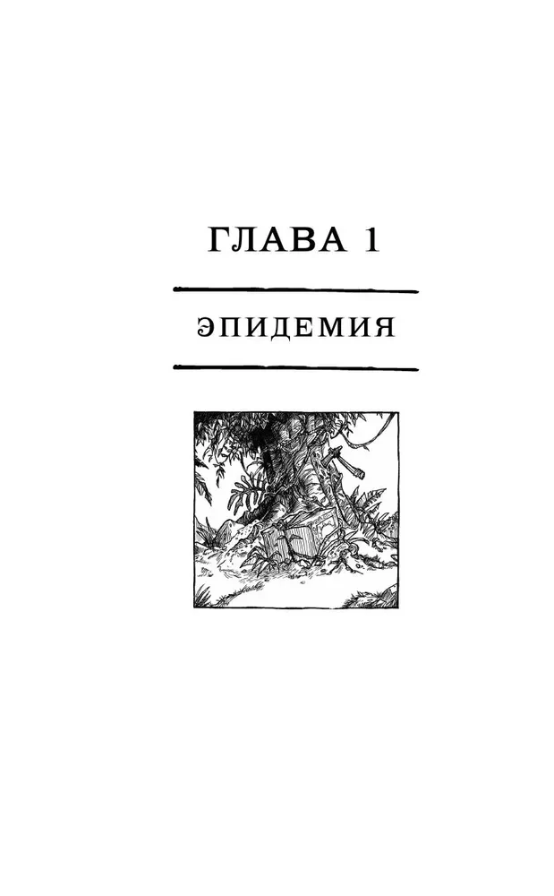Tautība, vai Kadreiz mēs bijām delfīni