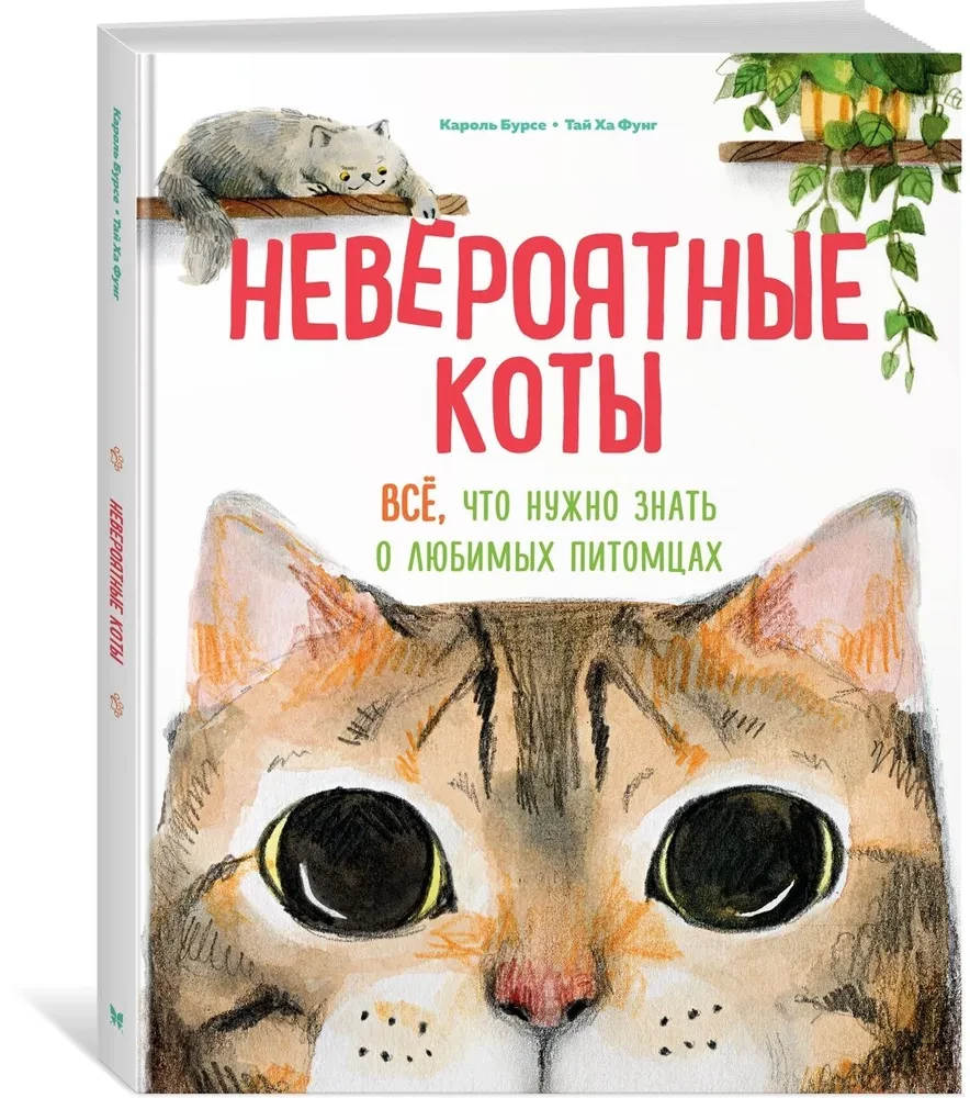Невероятные коты. Всё, что нужно знать о любимых питомцах