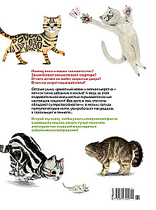 Невероятные коты. Всё, что нужно знать о любимых питомцах