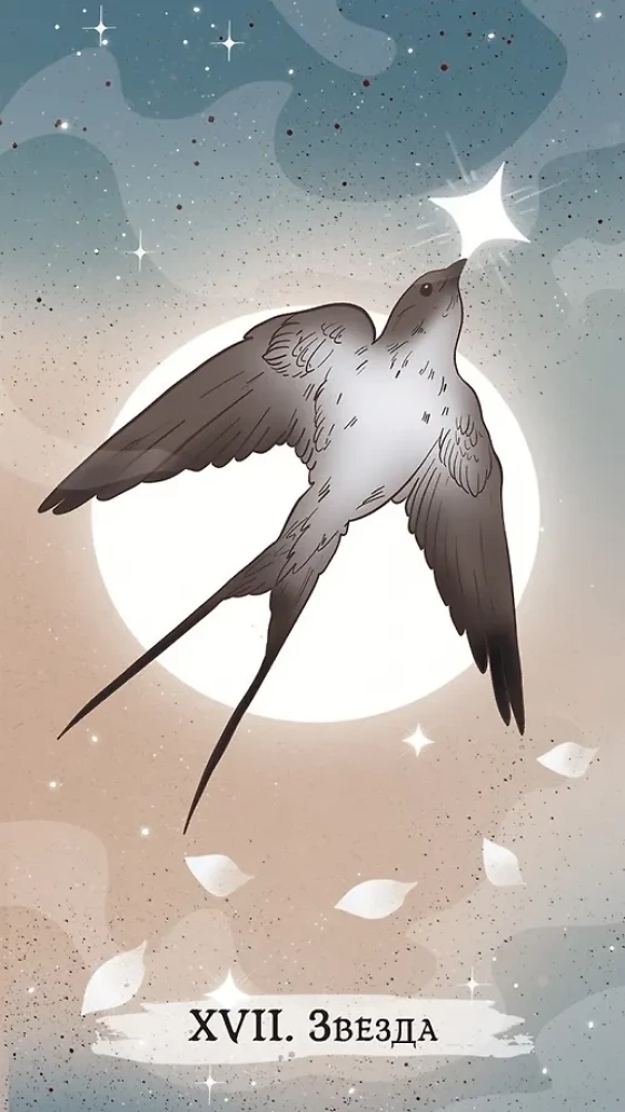 Raganu tarots (78 kārtis + brošūra)
