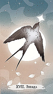 Raganu tarots (78 kārtis + brošūra)