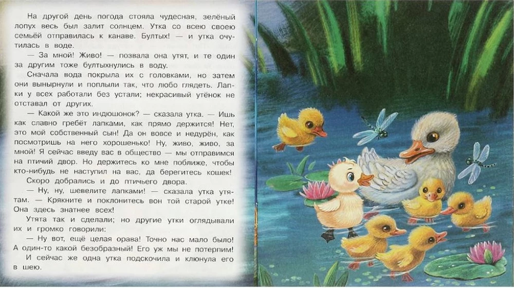 Гадкий утёнок