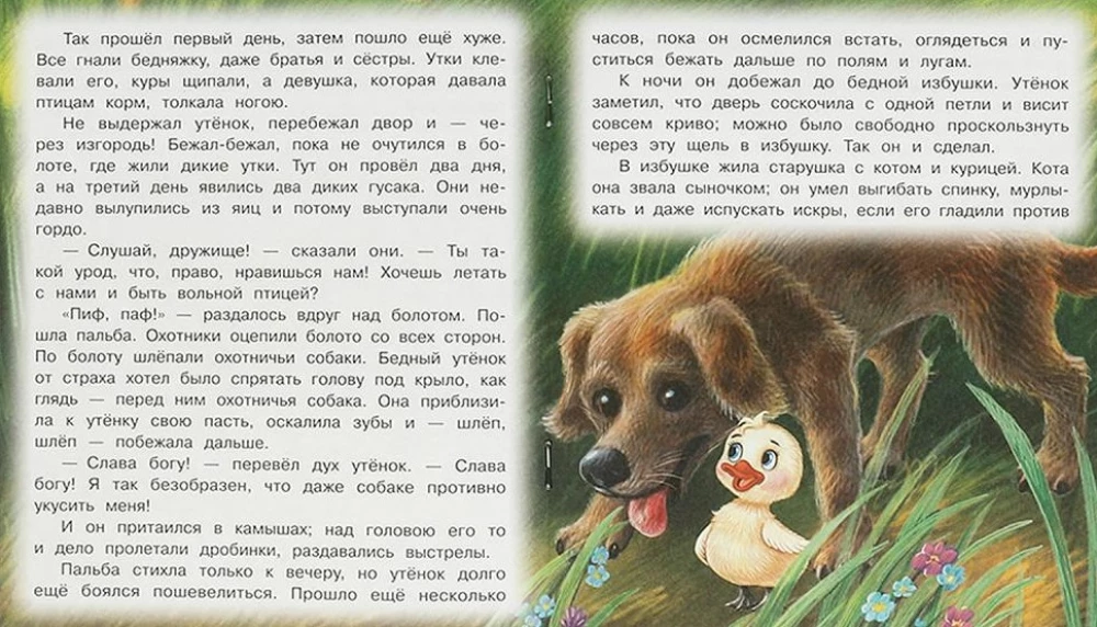 Гадкий утёнок