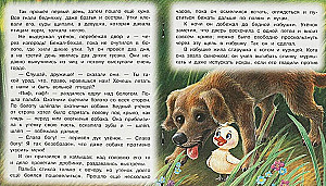 Гадкий утёнок