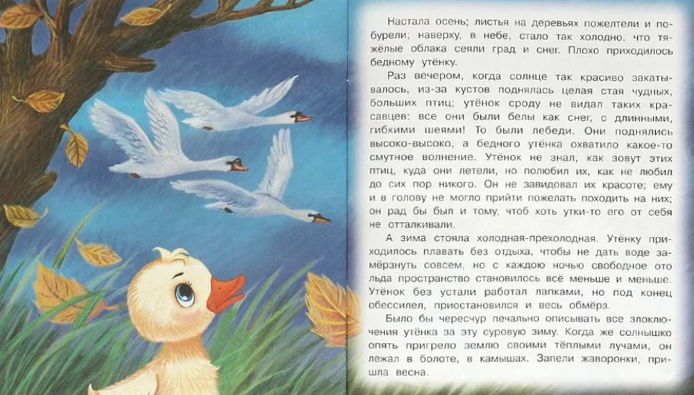 Гадкий утёнок