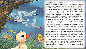 Гадкий утёнок