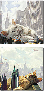 Бумага с липким краем - Big City Cats (ассорти)