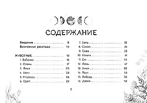 Orakuls Vēstījums meža gariem (brošūra)