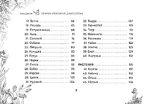 Orakuls Vēstījums meža gariem (brošūra)