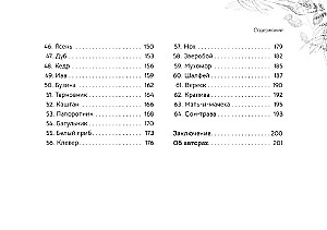 Orakuls Vēstījums meža gariem (brošūra)