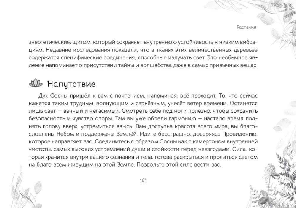 Orakuls Vēstījums meža gariem (brošūra)