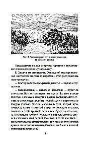 Живая математика. Занимательная алгебра