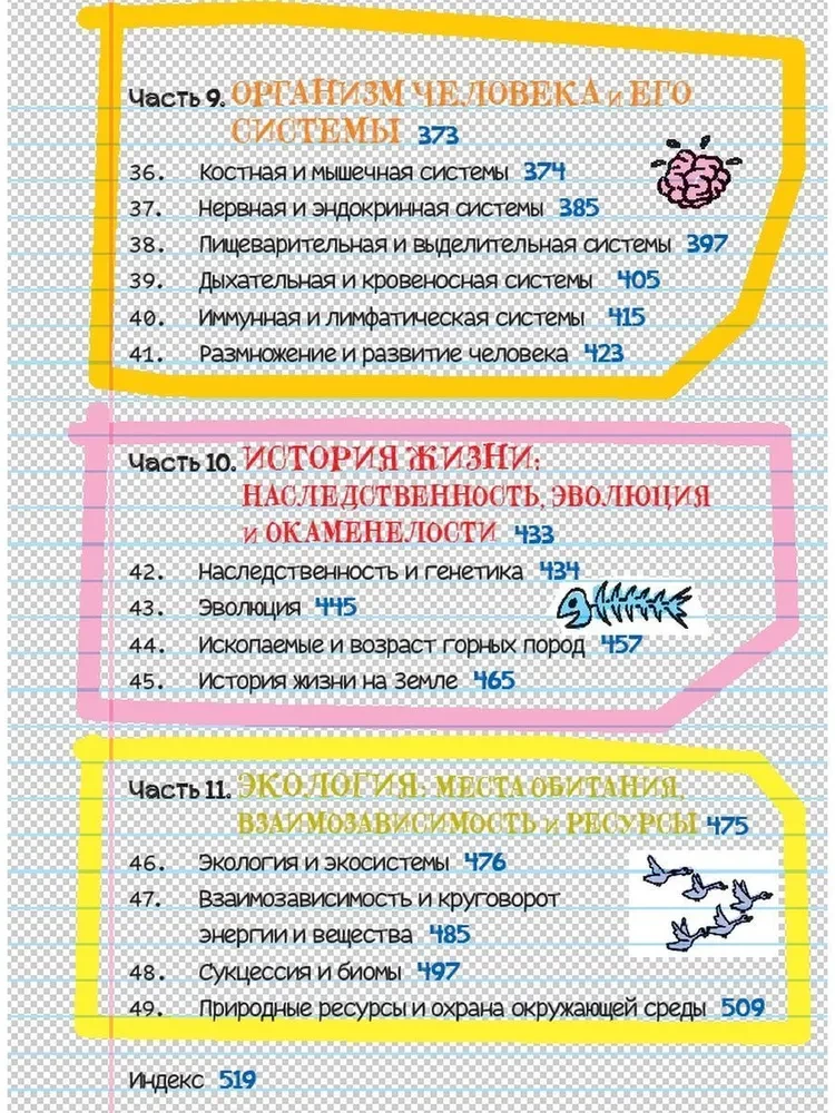 Всё, что нужно, чтобы понять физику, химию и биологию в одном толстом конспекте