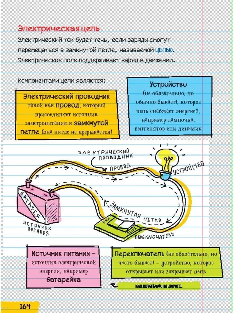 Всё, что нужно, чтобы понять физику, химию и биологию в одном толстом конспекте