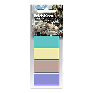 Līmlapiņas plastmasas ErichKrause Big City Cats, 45x20 mm, 80 lapas, 4 krāsas