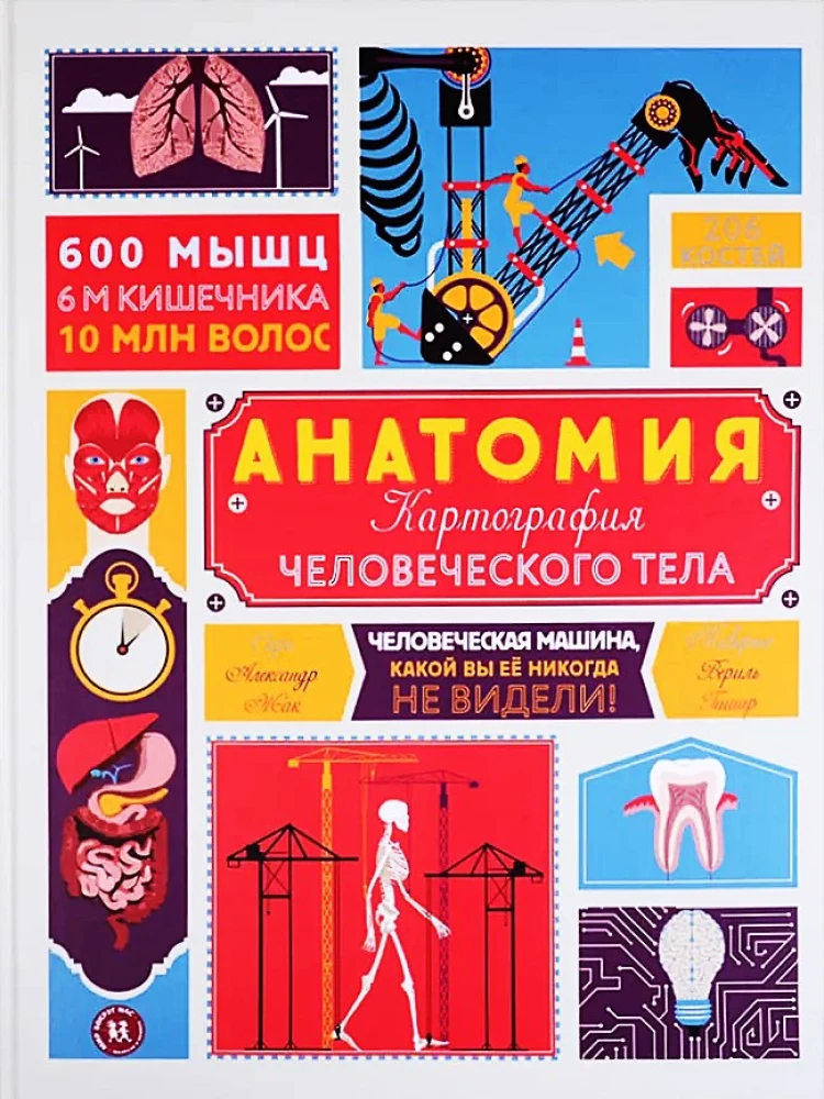 Анатомия. Картография человеческого тела