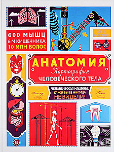 Анатомия. Картография человеческого тела
