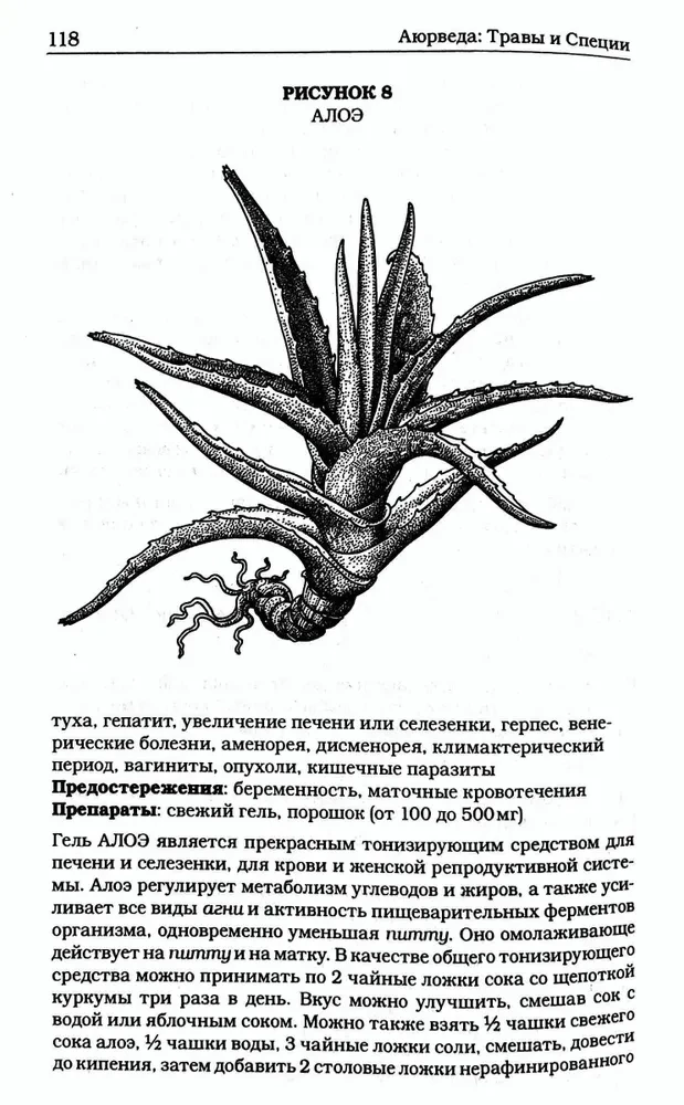 Zāles un garšvielas