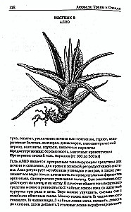 Zāles un garšvielas