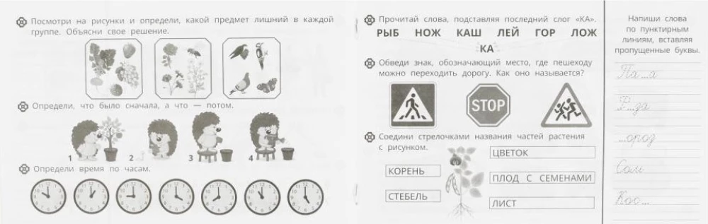 Uzdevumi mazajiem. Kompleksā attīstība. 6-7 gadi