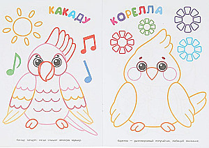 Mīļākie mājdzīvnieki. Pirmais krāsojamā grāmata