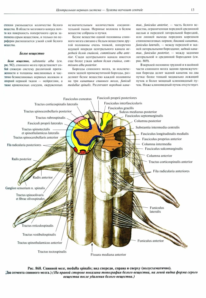 Атлас анатомии человека. Том 3. Неврология. Эстезиология