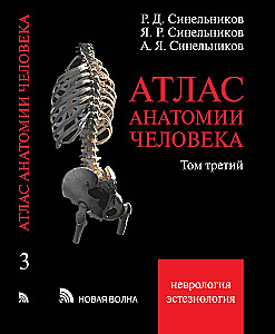 Атлас анатомии человека. Том 3. Неврология. Эстезиология