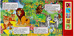 Музыкальная книжка - игрушка для малышей - Зоопарк