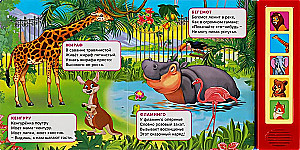 Музыкальная книжка - игрушка для малышей - Зоопарк