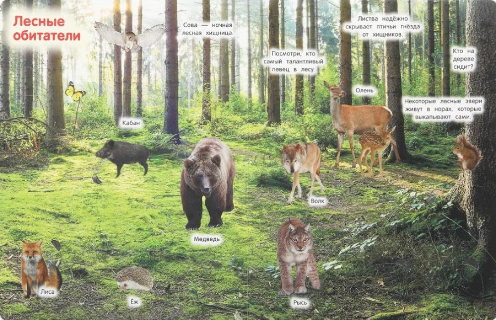 Dzīvnieki. 50 logi mazajiem