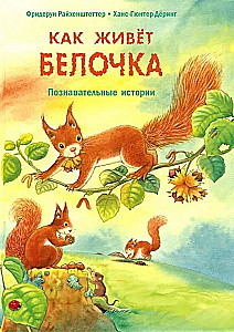 Как живёт белочка. Познавательные истории