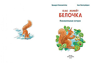 Как живёт белочка. Познавательные истории