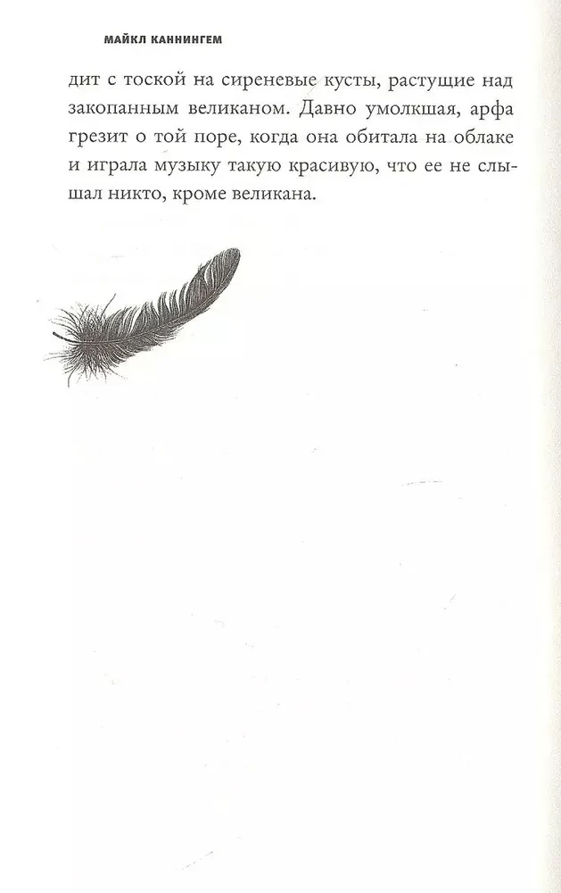 Дикий лебедь