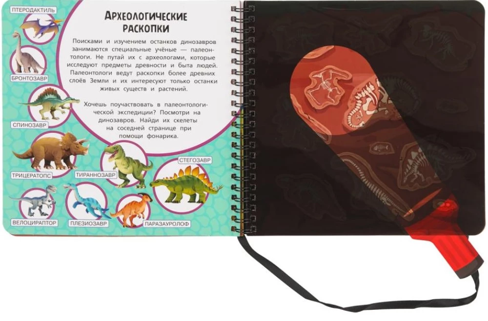По следам динозавров