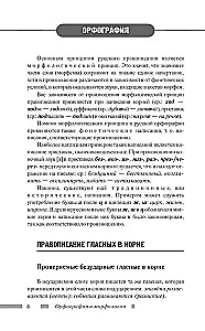 Русский язык для школьников. Орфография и морфология. Синтаксис и пунктуация