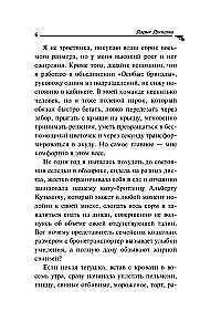 Бумеранг с автопилотом