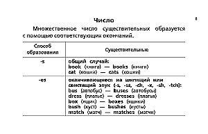 Все правила английского языка для начальной школы